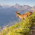 Photo de profil de Nicolas Bohere, client de Titina - Trattoria à La Clusaz
