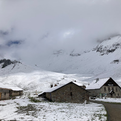 Les Cabrettes à La Chapelle-d'Abondance : plat photographié par Ambroise Brosselin