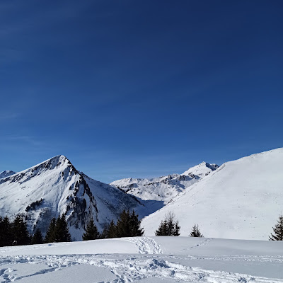 Plat servi chez The Tapiaz - Alpine Buvette, photographié par Boullard Françoise
